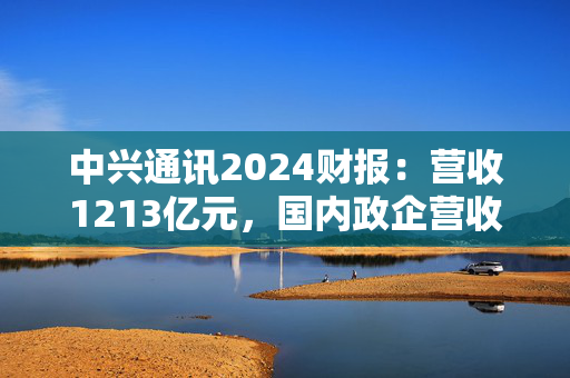 中兴通讯2024财报：营收1213亿元，国内政企营收增60%