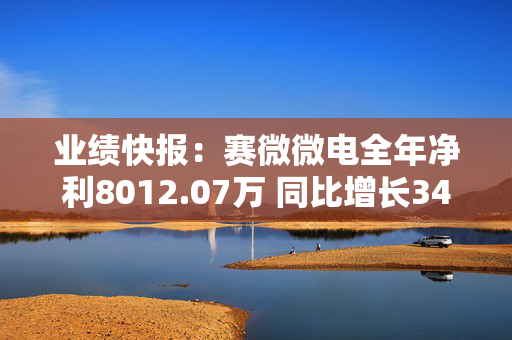 业绩快报：赛微微电全年净利8012.07万 同比增长34.04%