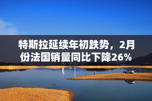 特斯拉延续年初跌势，2月份法国销量同比下降26%