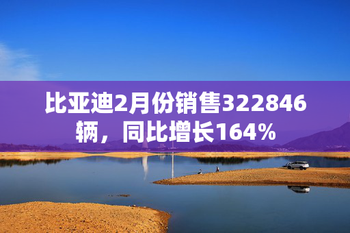 比亚迪2月份销售322846辆，同比增长164%