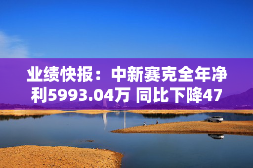 业绩快报：中新赛克全年净利5993.04万 同比下降47.54%