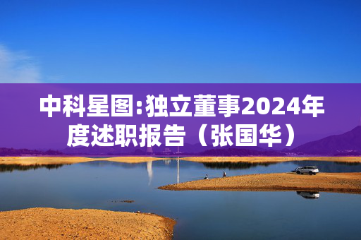 中科星图:独立董事2024年度述职报告（张国华）