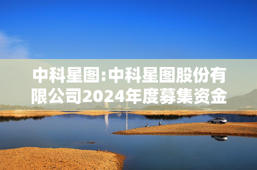 中科星图:中科星图股份有限公司2024年度募集资金存放与实际使用情况的专项报告