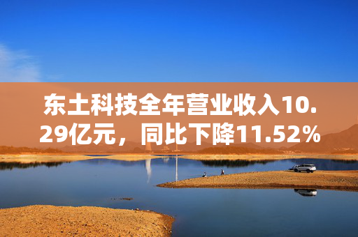 东土科技全年营业收入10.29亿元，同比下降11.52%