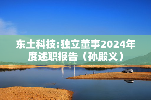 东土科技:独立董事2024年度述职报告（孙殿义）