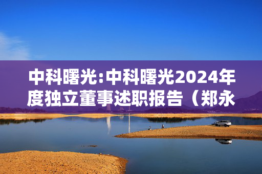 中科曙光:中科曙光2024年度独立董事述职报告（郑永琴）