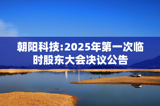 朝阳科技:2025年第一次临时股东大会决议公告