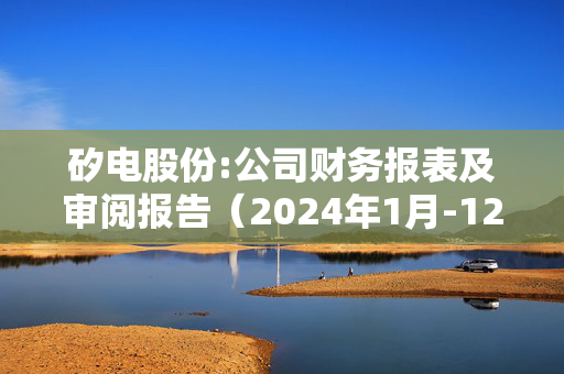 矽电股份:公司财务报表及审阅报告（2024年1月-12月）