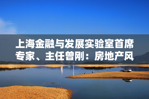 上海金融与发展实验室首席专家、主任曾刚：房地产风险化解是最突出的任务