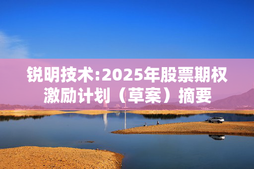 锐明技术:2025年股票期权激励计划（草案）摘要